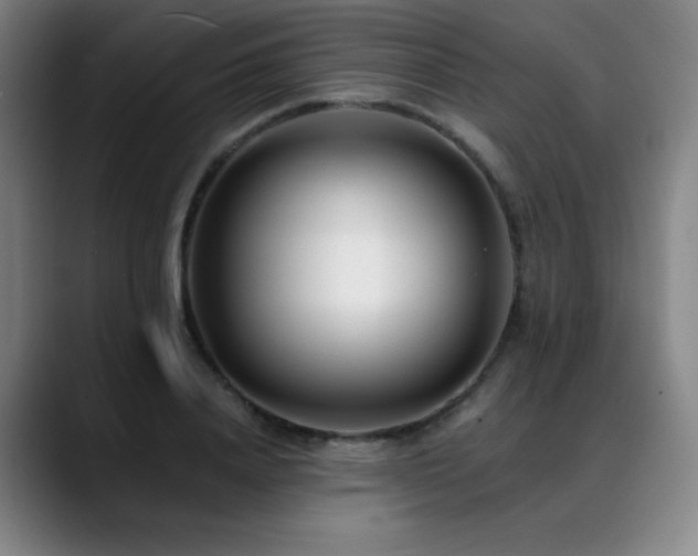 X0000089440840200706151412