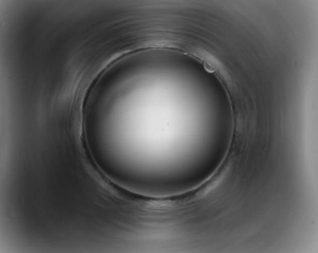 X0000089440844200706151412