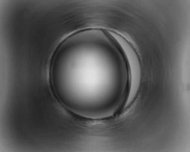 X0000089440846200706151412