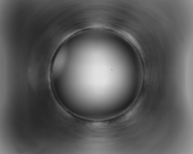 X0000089440847200706151412