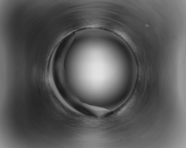 X0000089440850200706151412