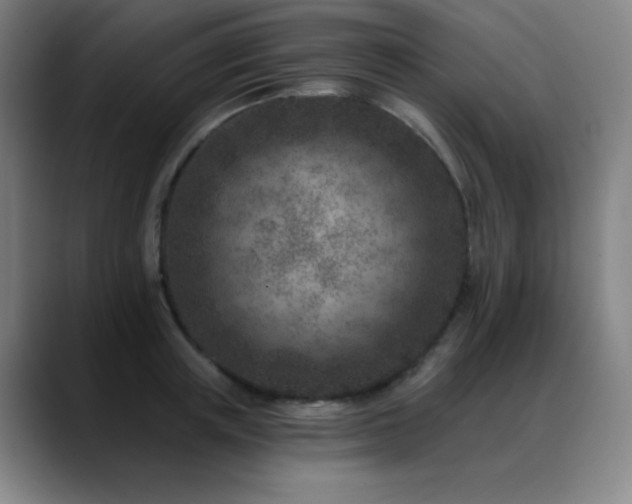 X0000089440851200706151412