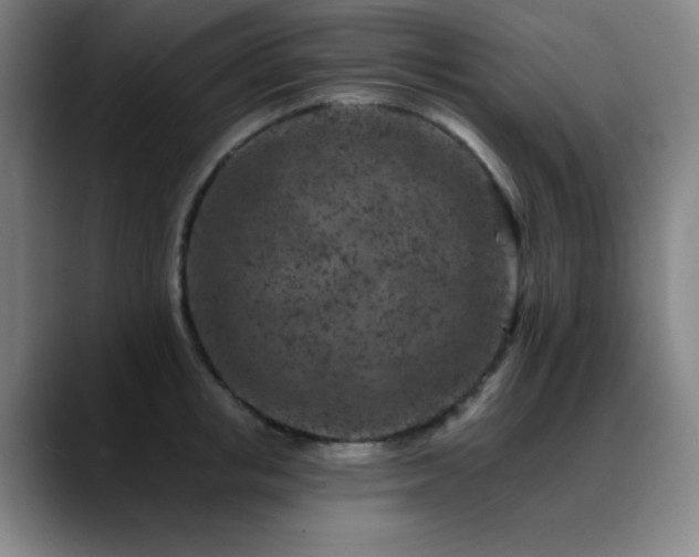 X0000089440853200706151412