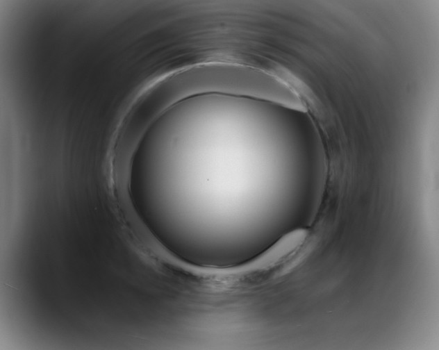X0000089440854200706151412