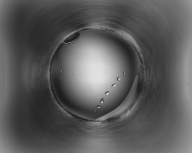 X0000089440855200706151412