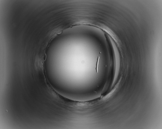 X0000089440857200706151412