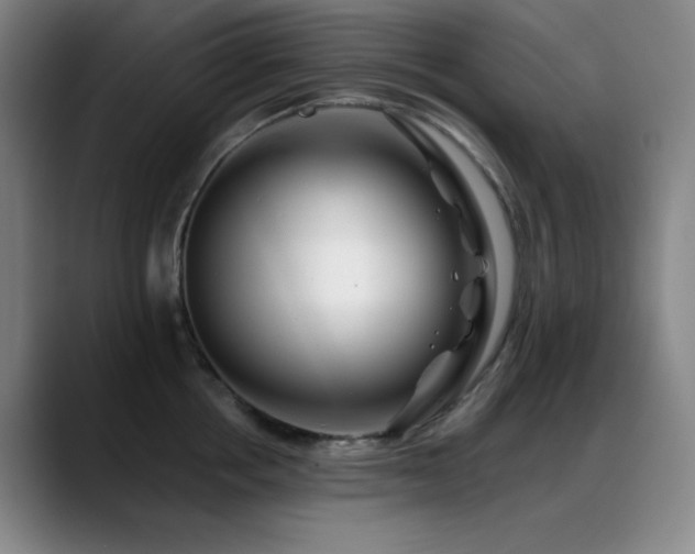 X0000089440858200706151412