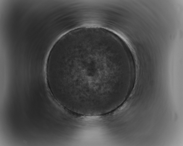 X0000089440864200706151412