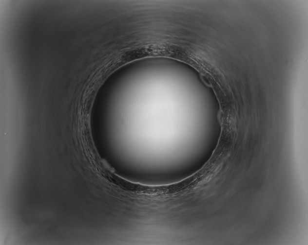 X0000089440865200706151412