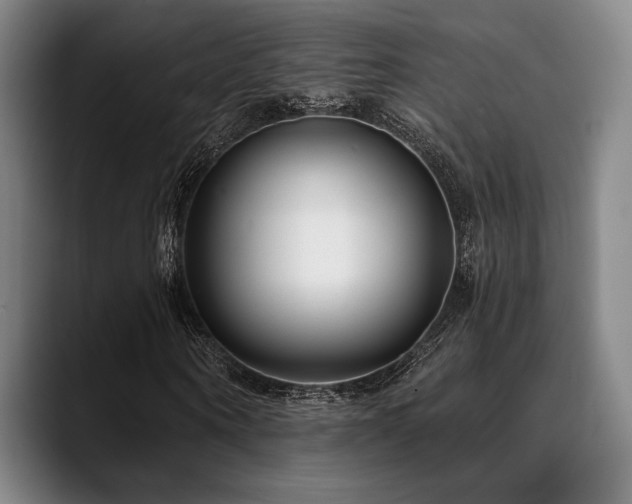 X0000089440866200706151412