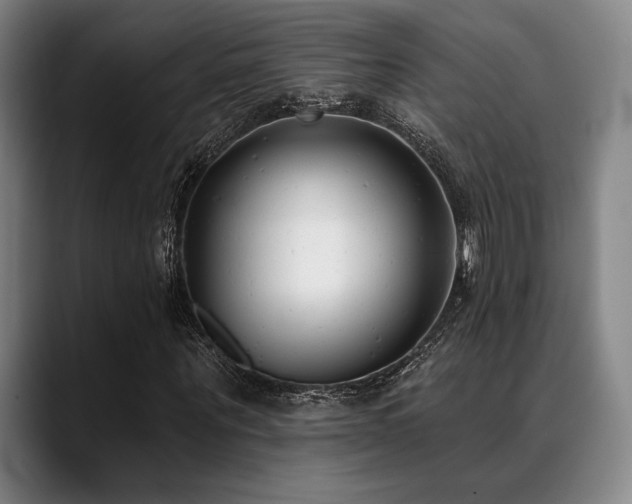 X0000089440867200706151412