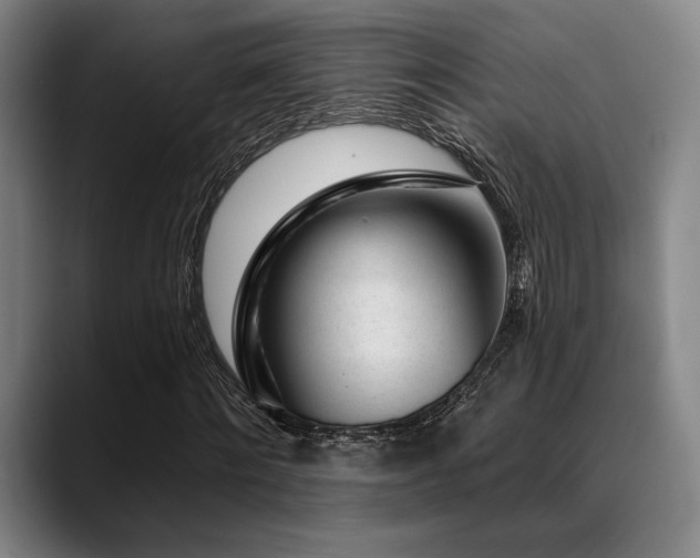 X0000089440868200706151412