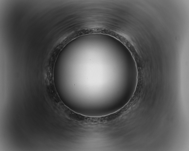 X0000089440871200706151412