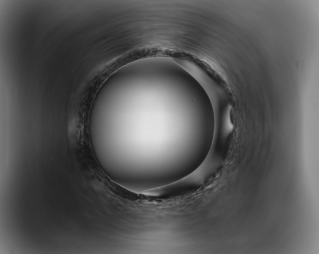 X0000089440872200706151412