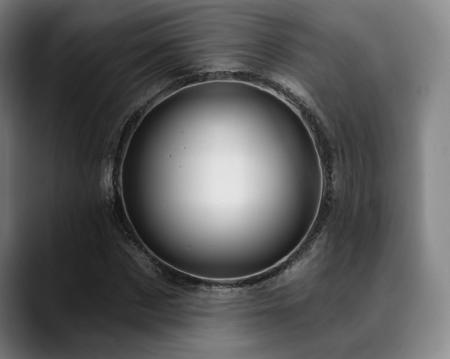 X0000089440873200706151412