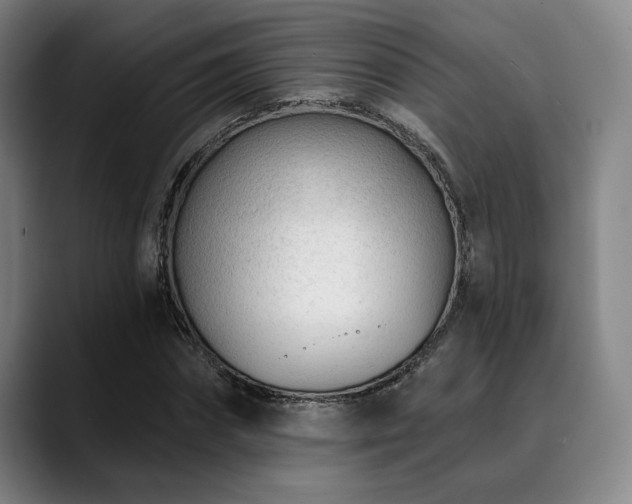 X0000089440874200706151412