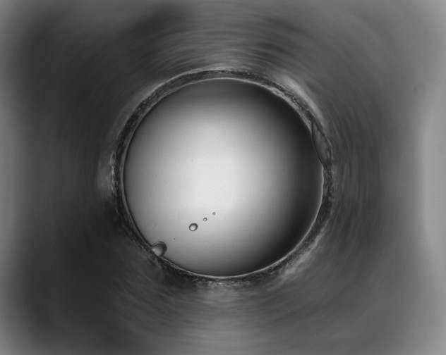 X0000089440875200706151412