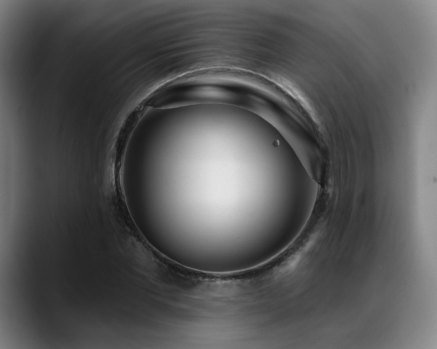 X0000089440877200706151412
