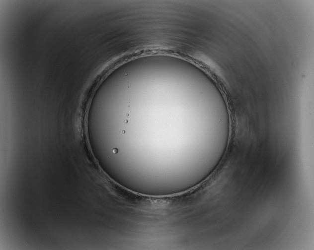 X0000089440878200706151411