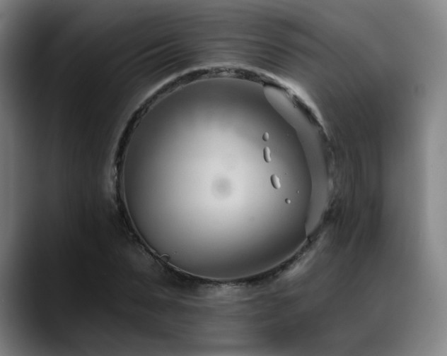X0000089440879200706151411