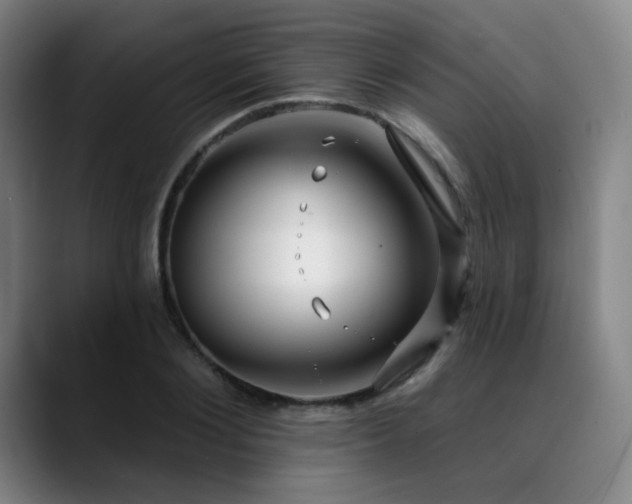 X0000089440884200706151411