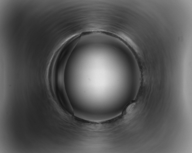 X0000089440885200706151411