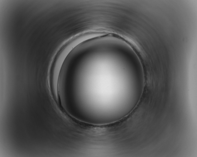 X0000089440888200706151411
