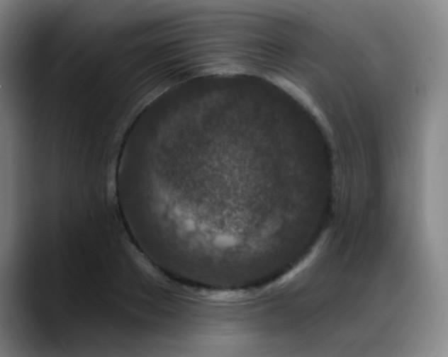 X0000089440889200706151411
