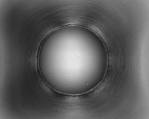 X0000089440890200706151411
