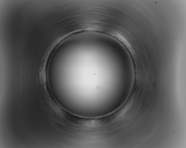 X0000089440891200706151411