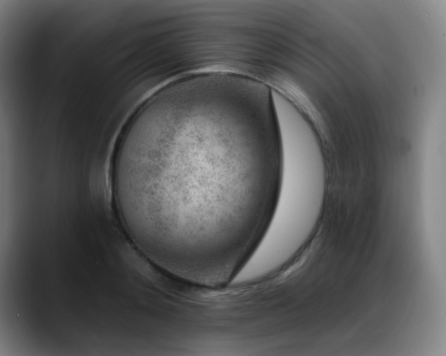 X0000089440892200706151411