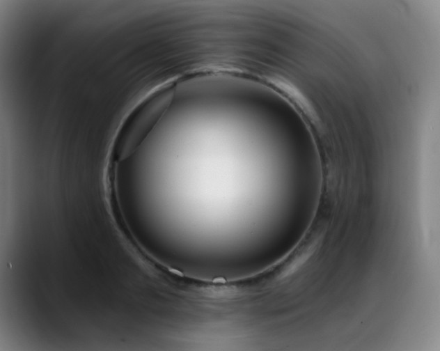 X0000089440893200706151411