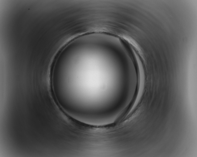 X0000089440894200706151411