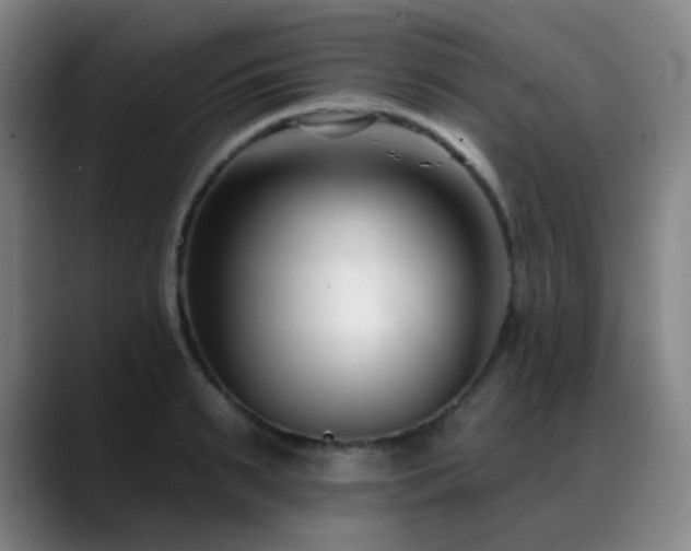 X0000089440895200706151411