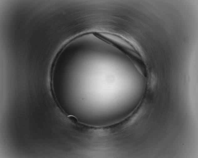 X0000089440896200706151411