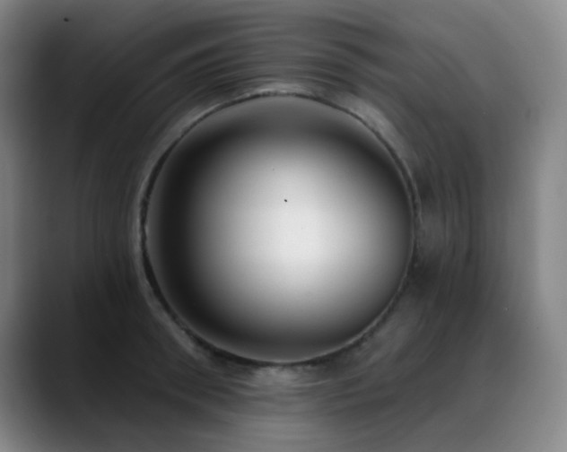 X0000089440898200706151411