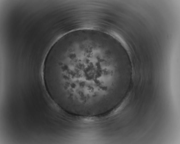 X0000089440899200706151411