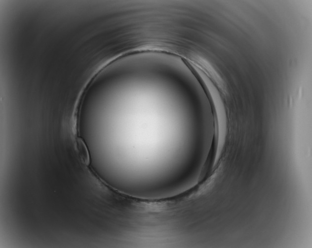 X0000089440900200706151411