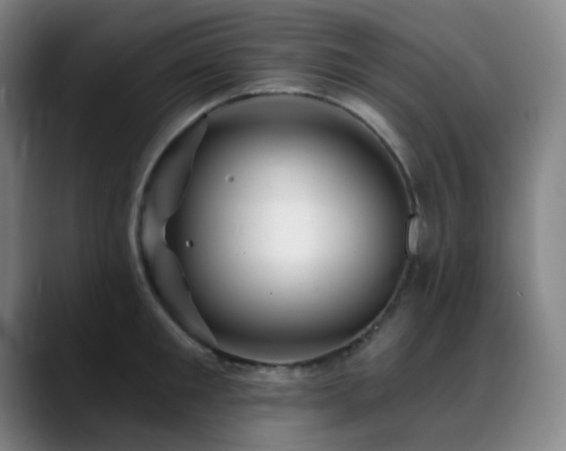 X0000089440901200706151411