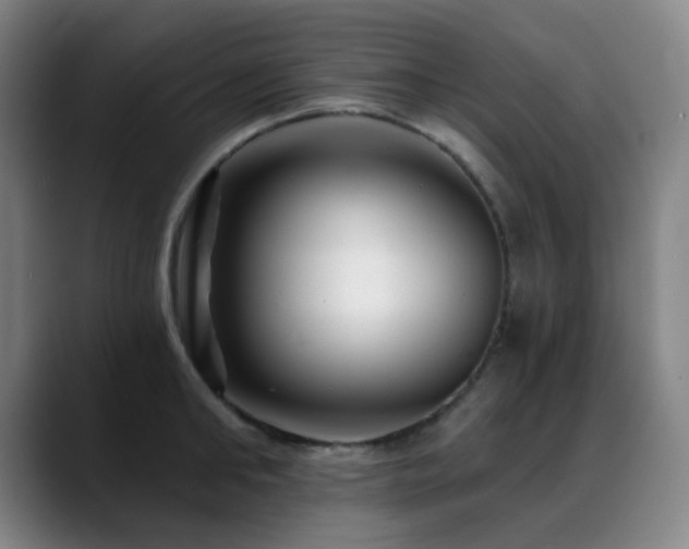 X0000089440902200706151411