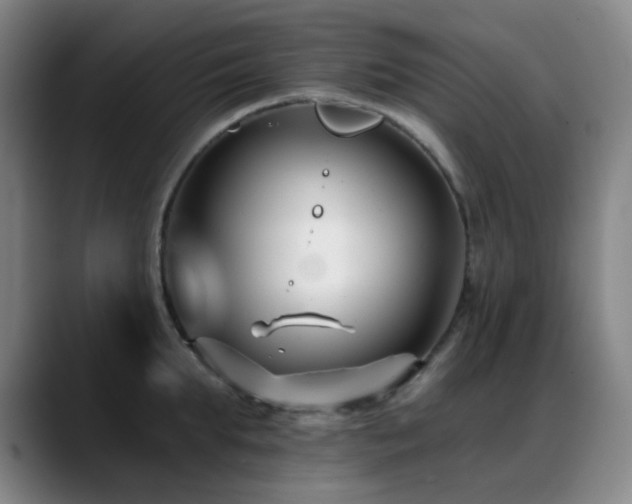X0000089440903200706151411