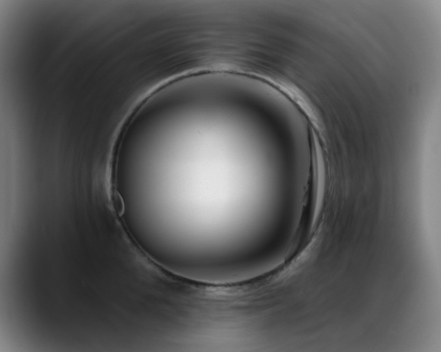 X0000089440904200706151411