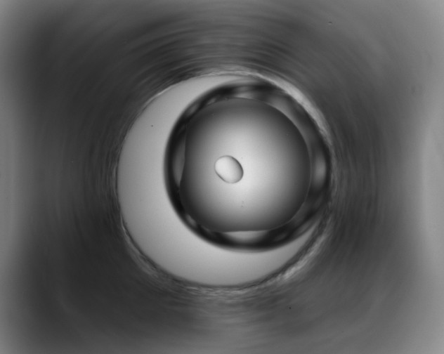 X0000089440905200706151411