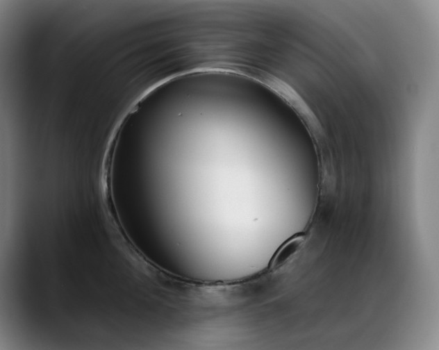 X0000089440908200706151411