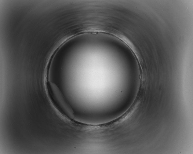 X0000089440909200706151411