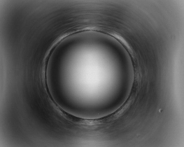 X0000089440910200706151411