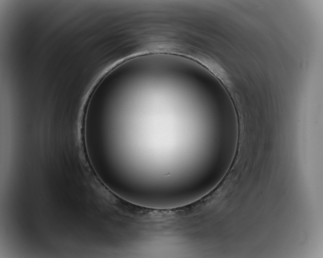 X0000089440912200706151411