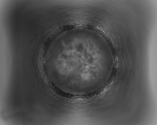 X0000089440913200706151411