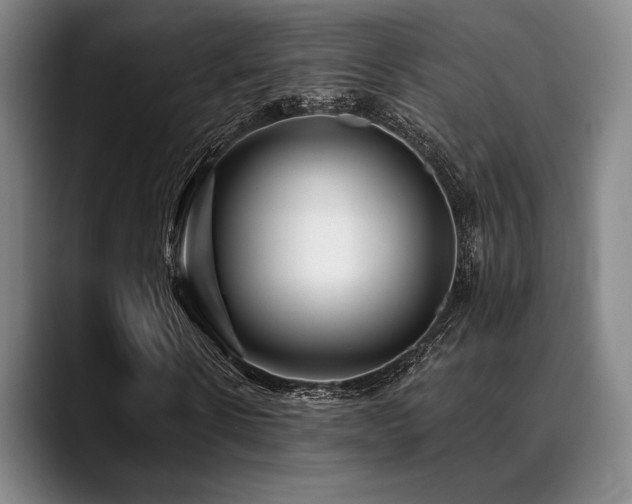 X0000089440914200706151411