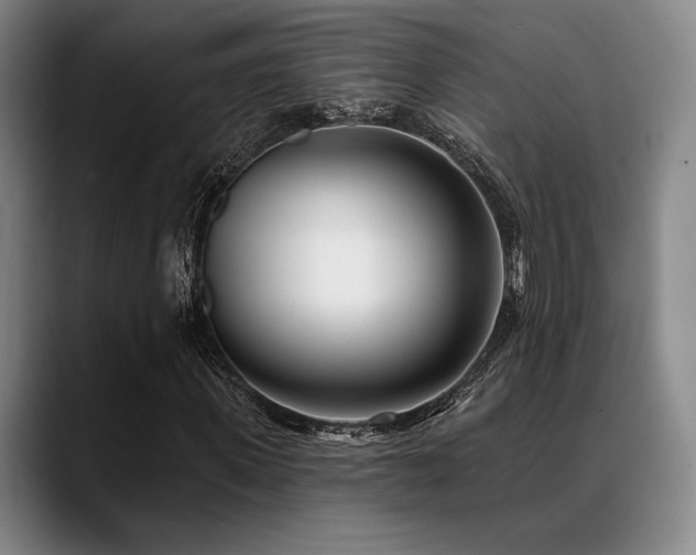 X0000089440915200706151411